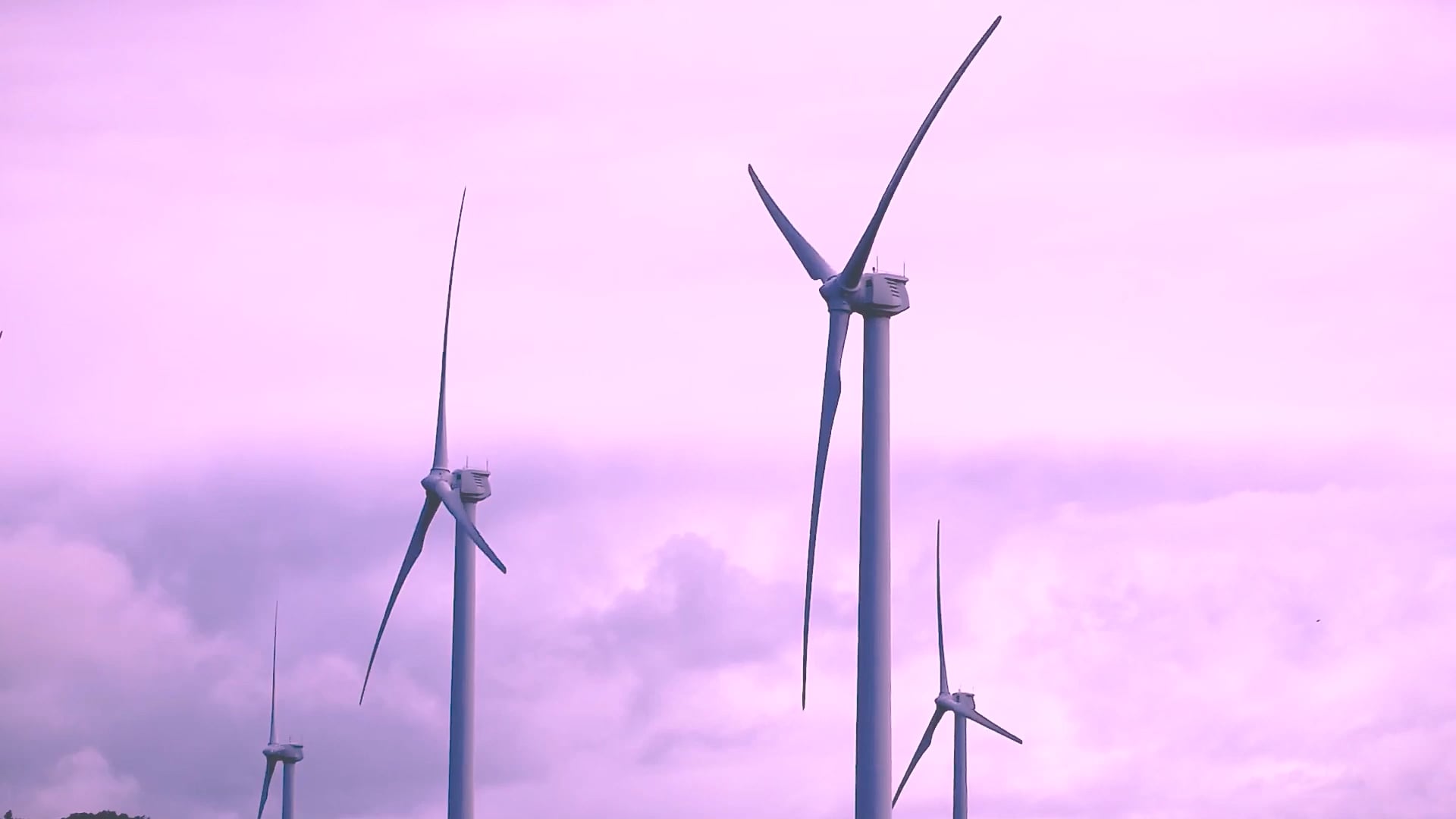 Purple Wind Turbine Video Thumb
