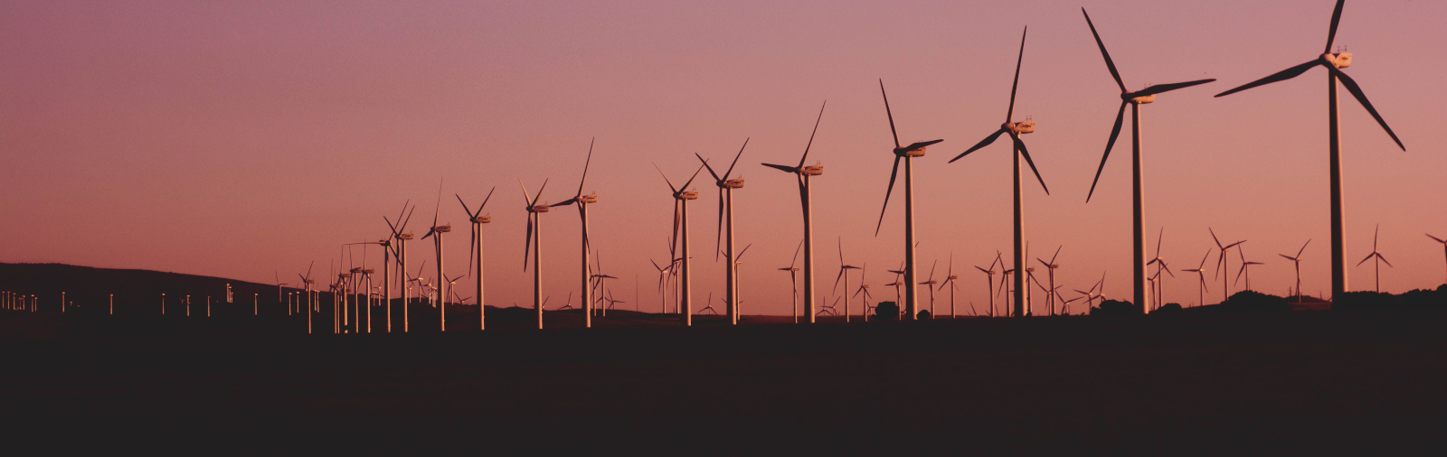 Row Of Wind Turbines Sunset Cropped
